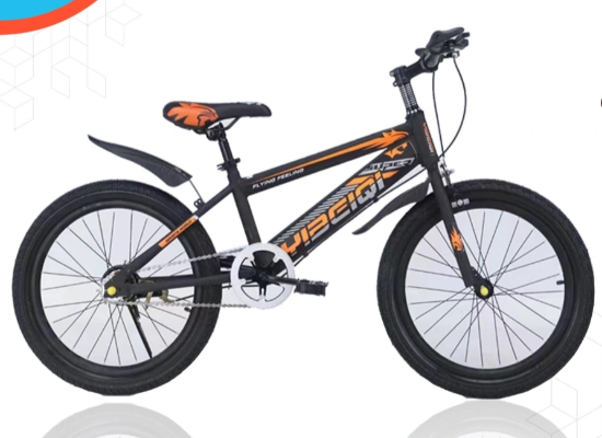 صورة دراجة مقاس 20